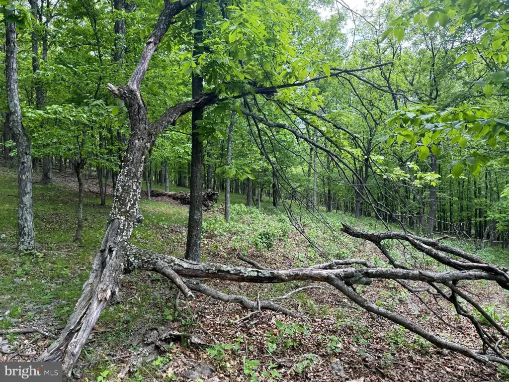 Picture 8