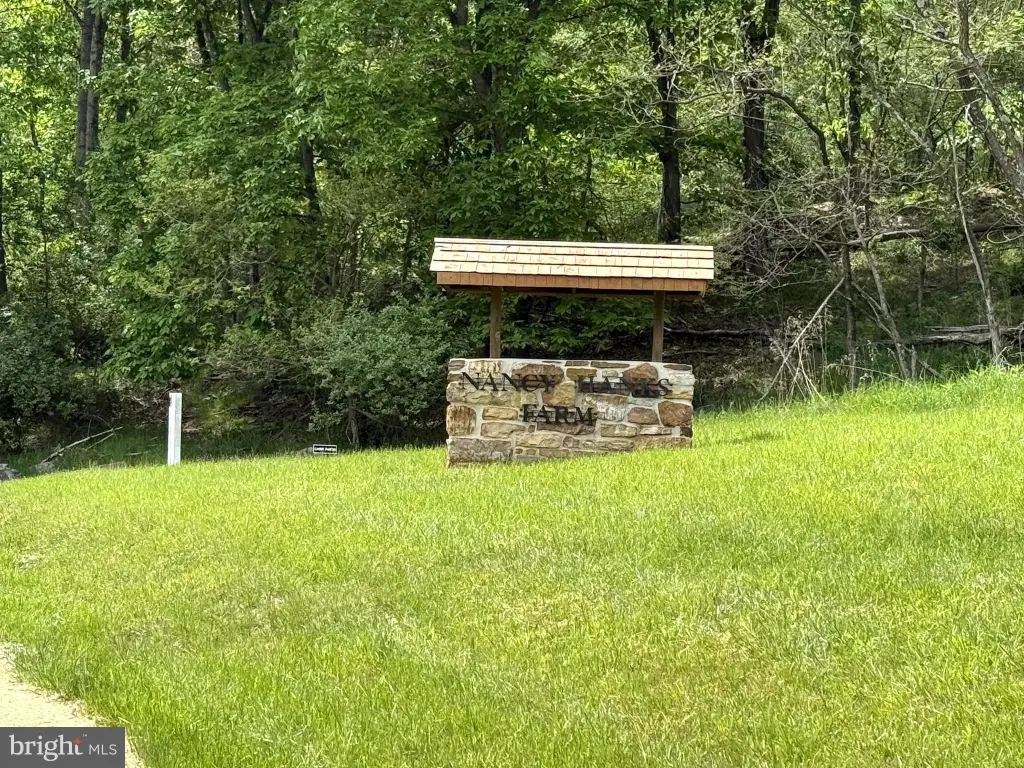 Picture 10
