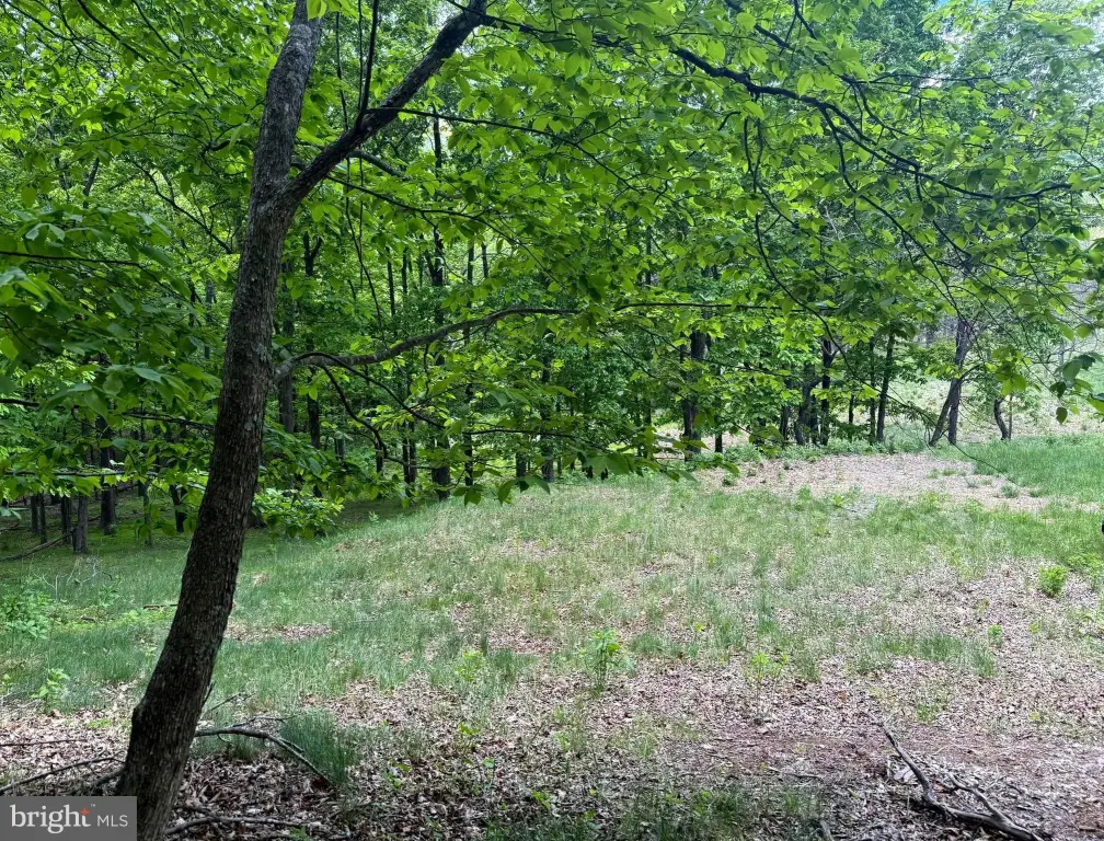 Picture 9