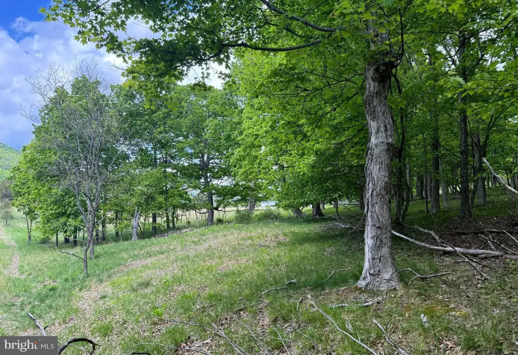 Picture 6