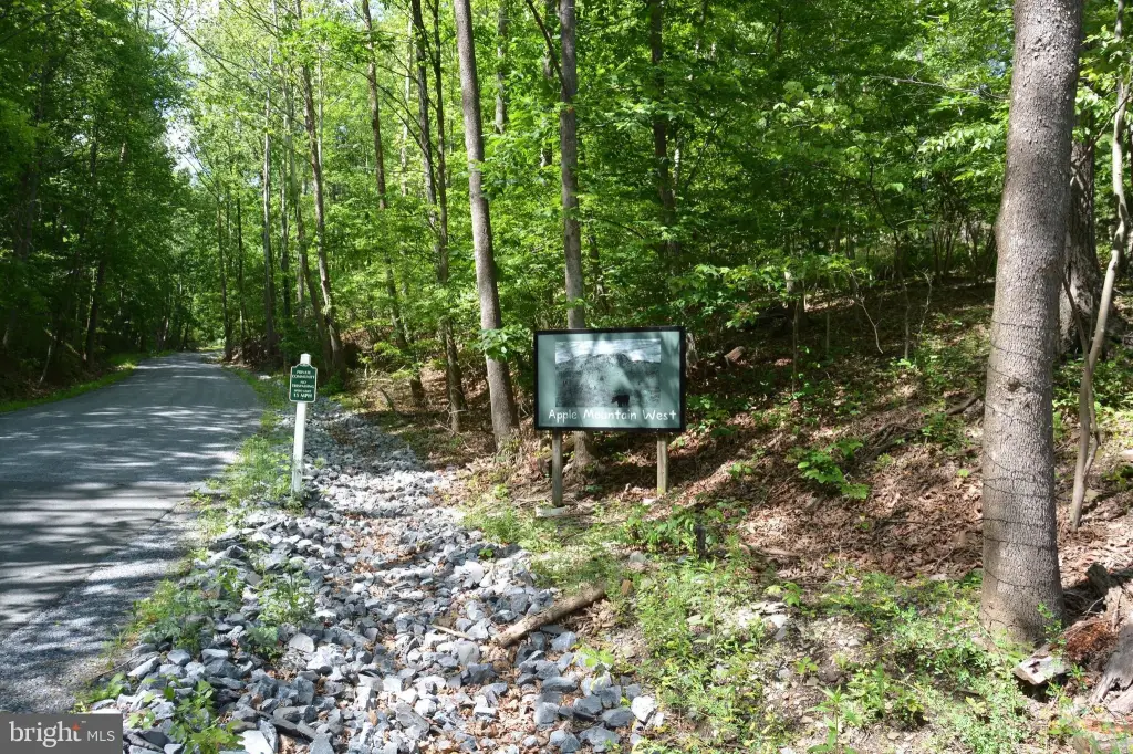 Picture 23
