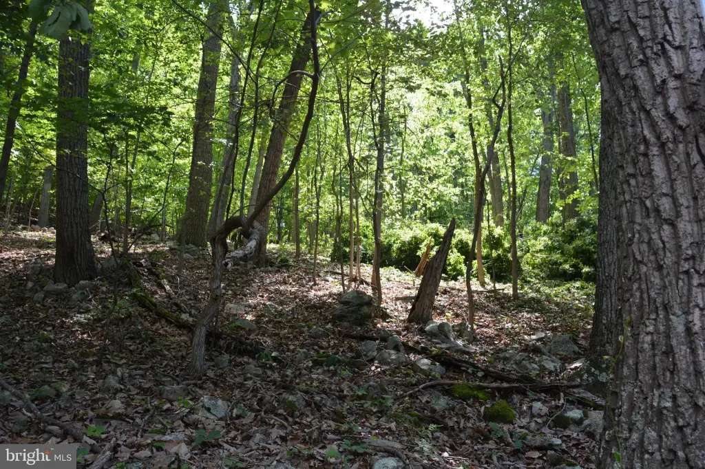 Picture 16