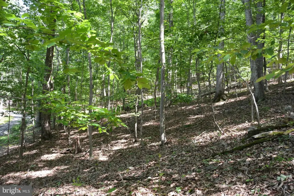 Picture 17