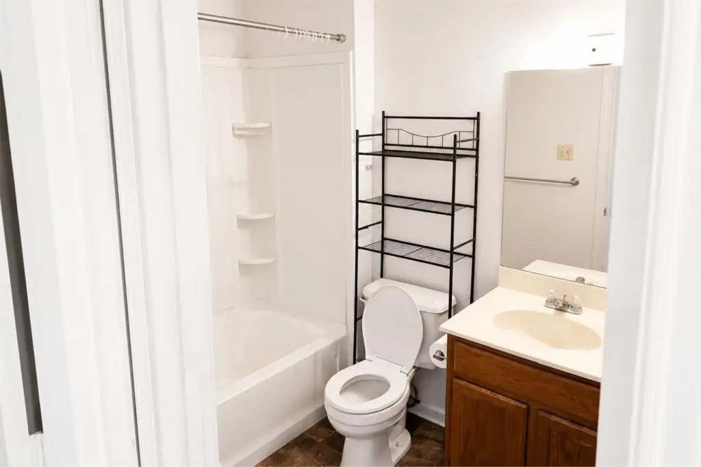 Picture 6