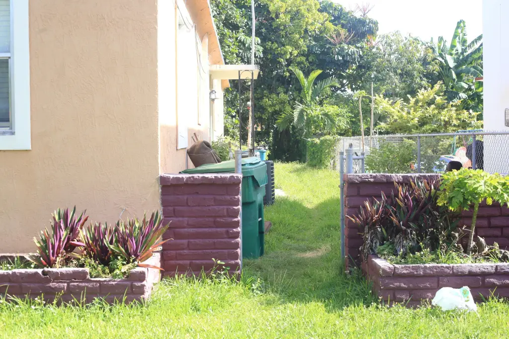 Picture 6