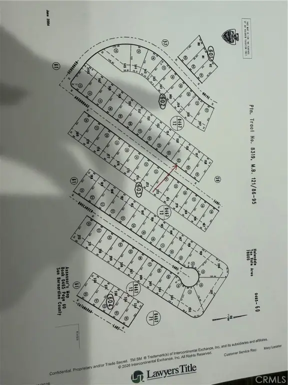 Picture 6