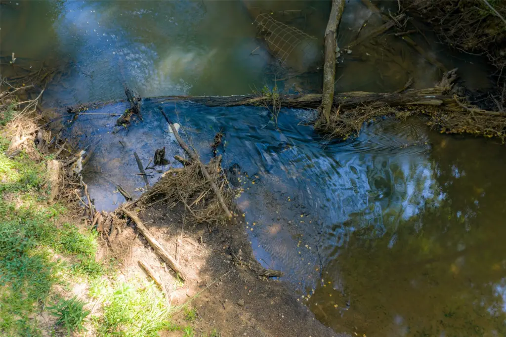 Picture 36