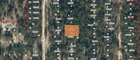 Vacant Lot in Hawthorne, FL