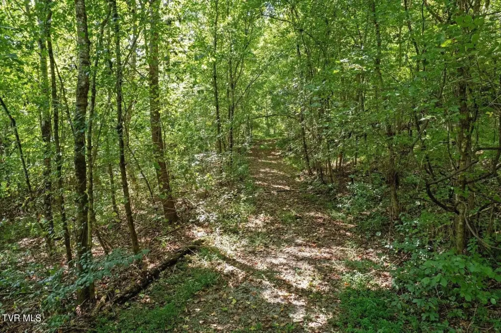 Picture 22