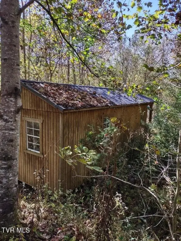 Picture 10