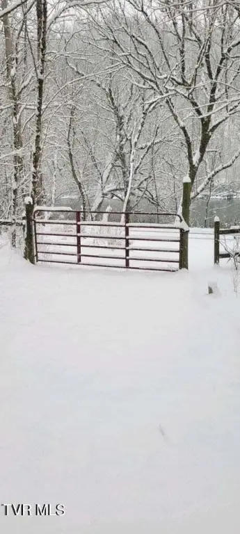 Picture 31