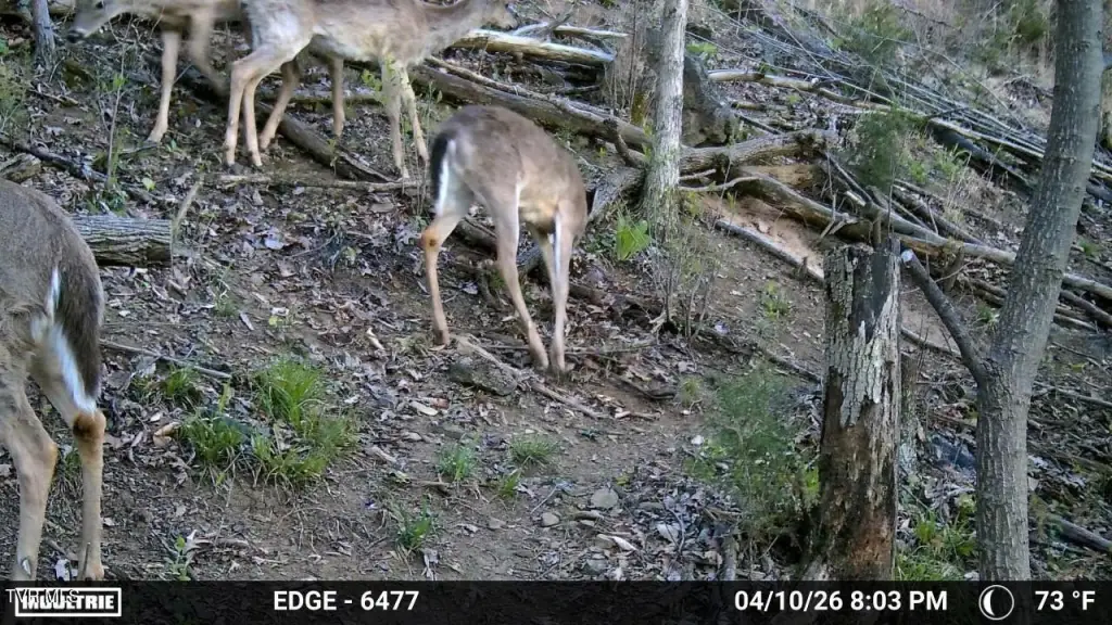 Picture 13