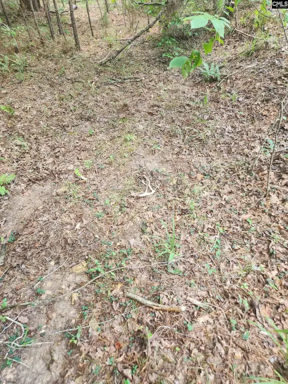 Picture 10