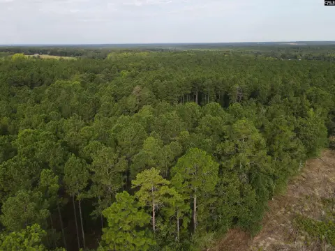 Wooded Land Tract