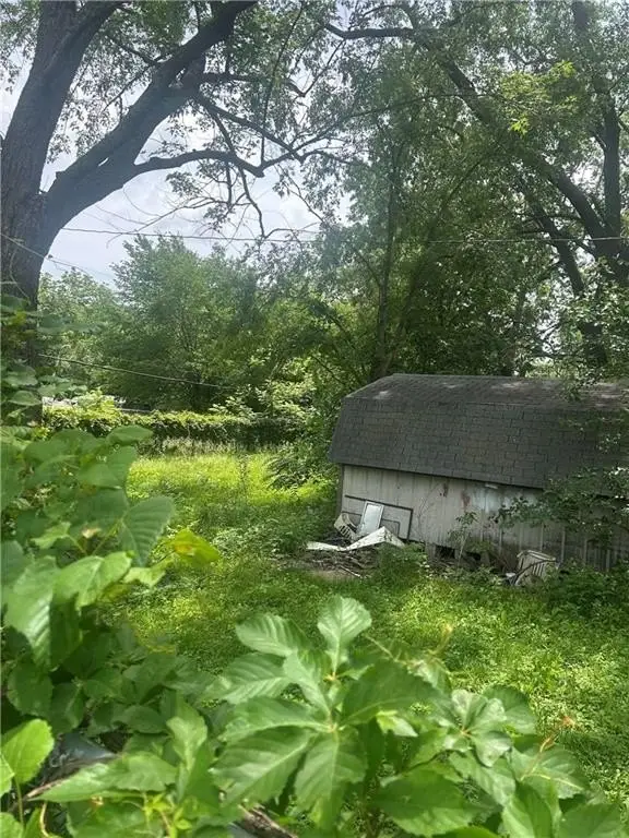 Picture 3