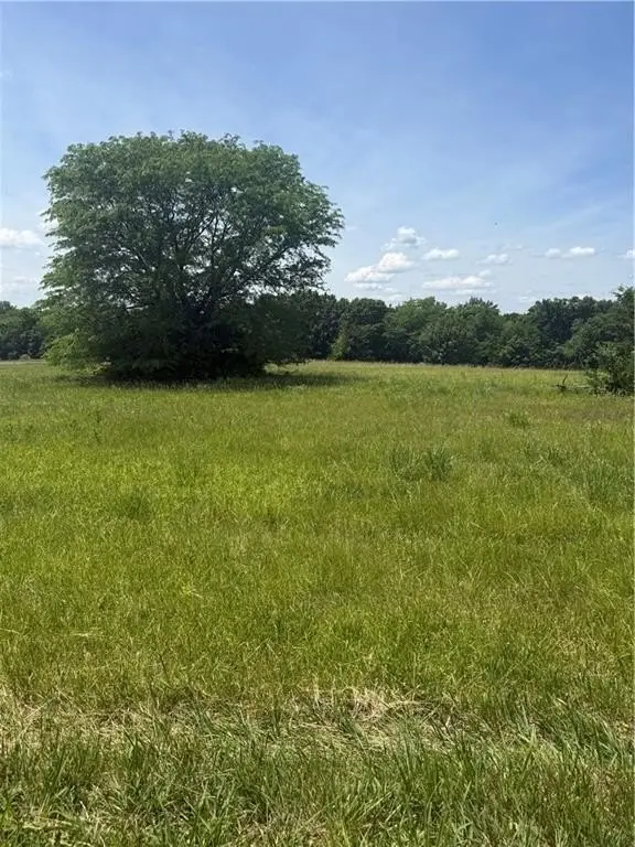 Picture 3