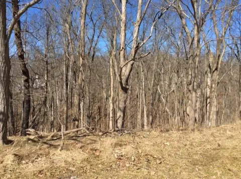 Residential Land in Hidden Valley