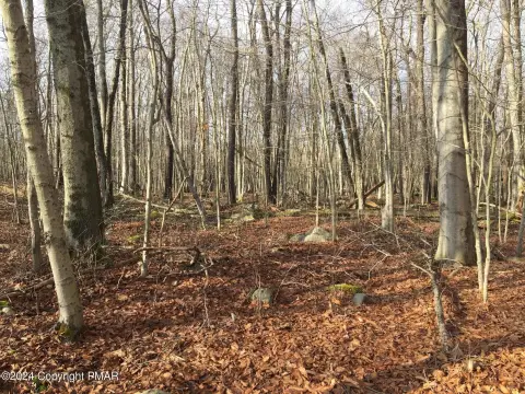 Clifton Township Building Lot