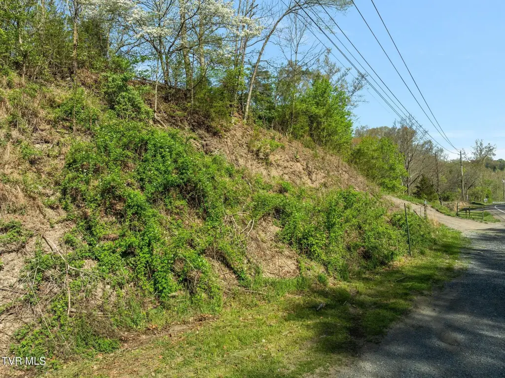 Picture 18