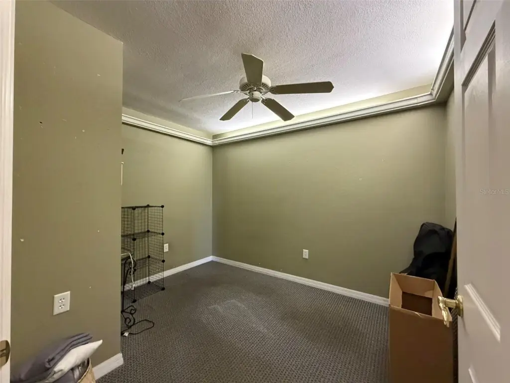 Picture 12