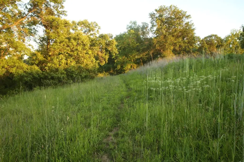 Picture 34