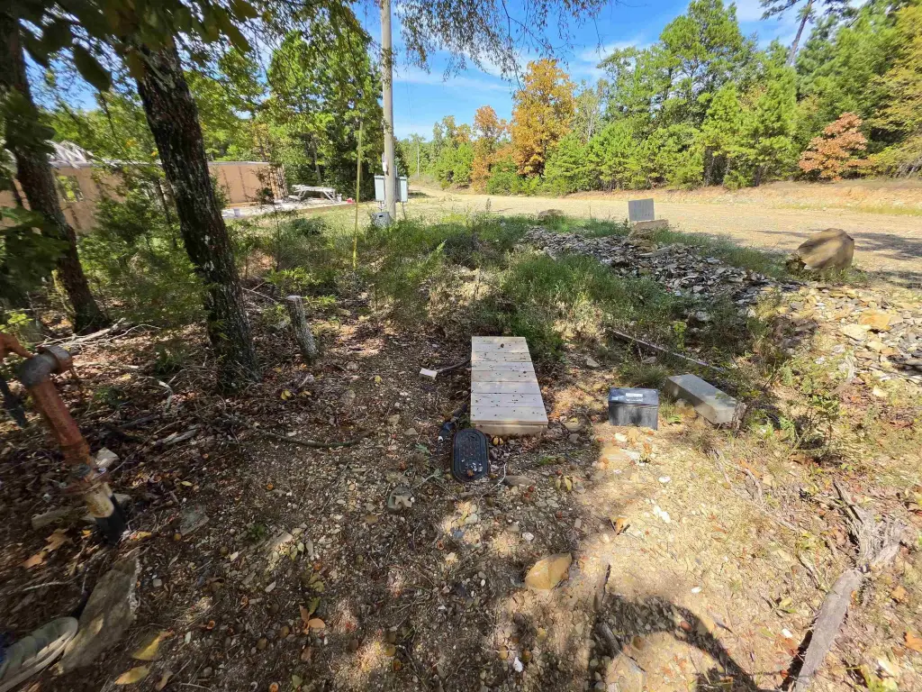 Picture 43