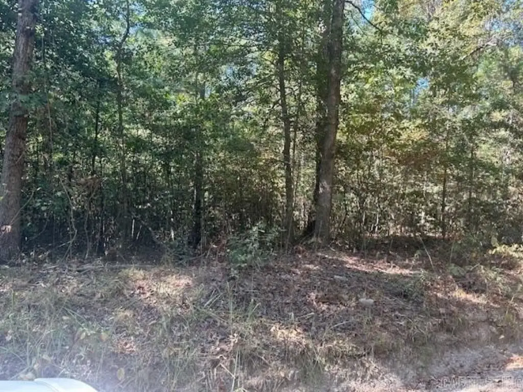 Picture 4