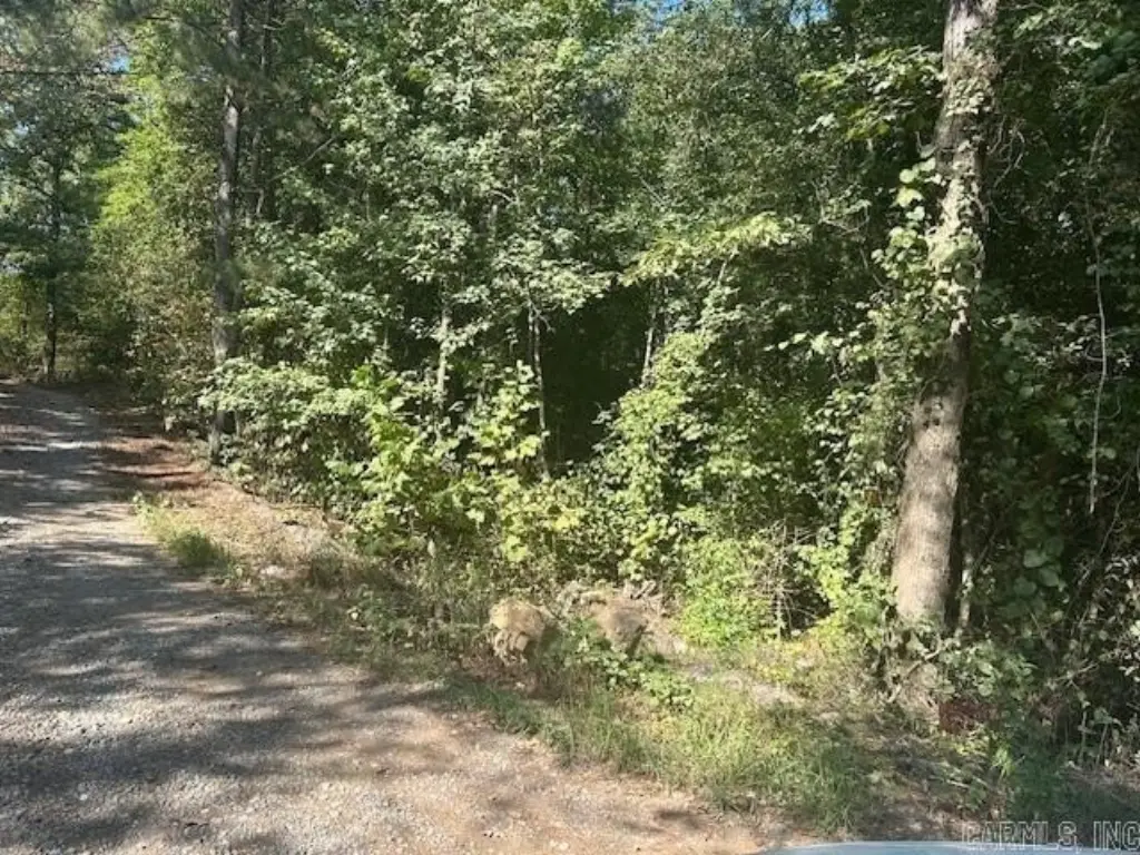 Picture 3