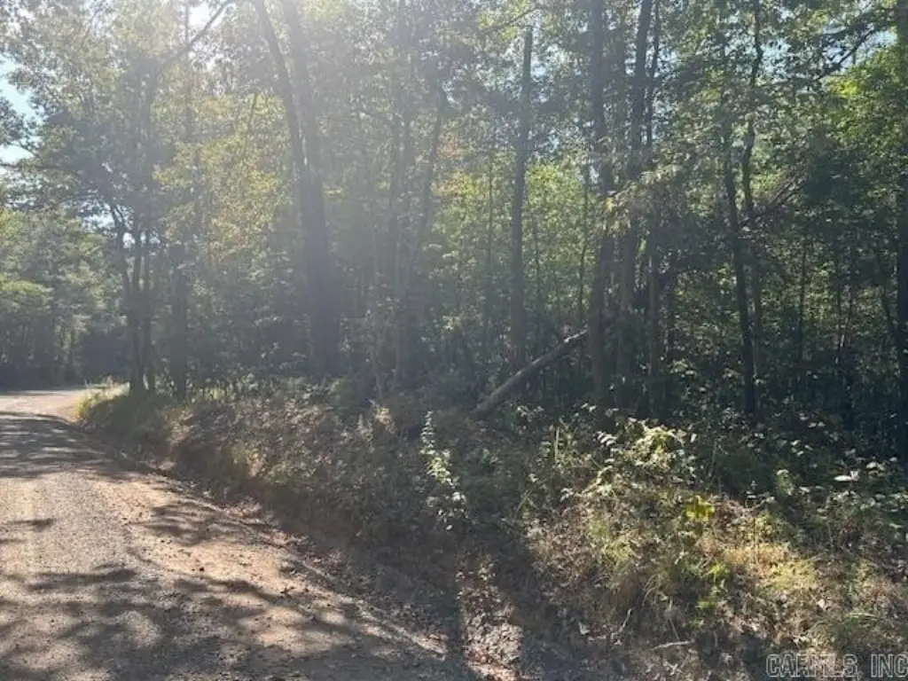 Picture 2