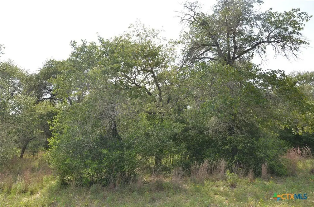 Picture 13