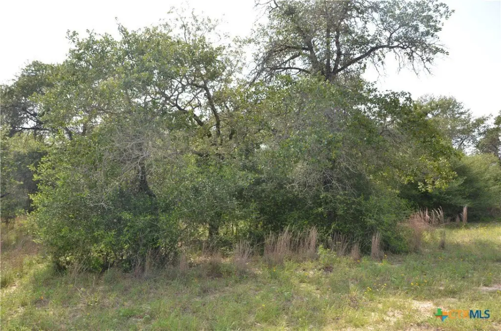 Picture 14