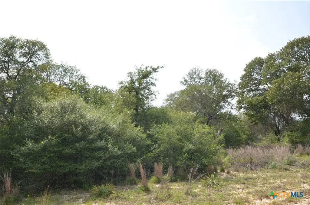Picture 10