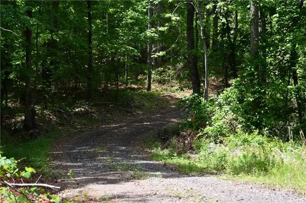 Picture 42