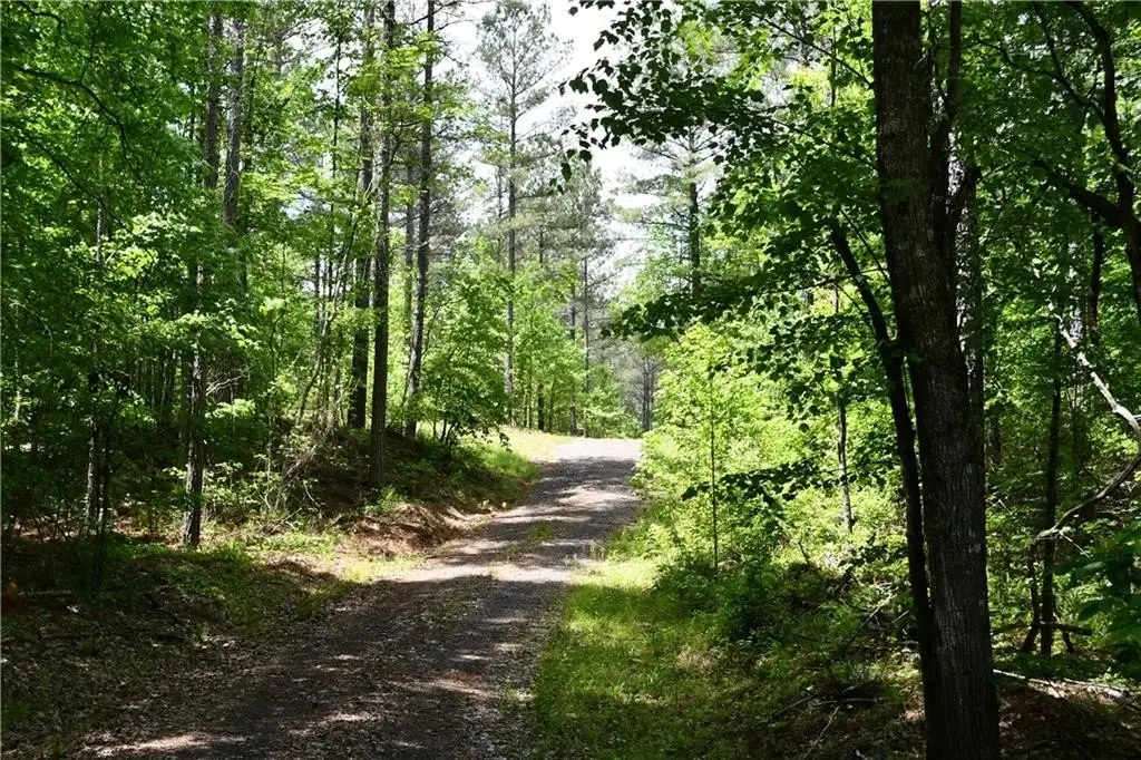 Picture 43