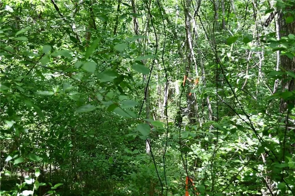 Picture 26