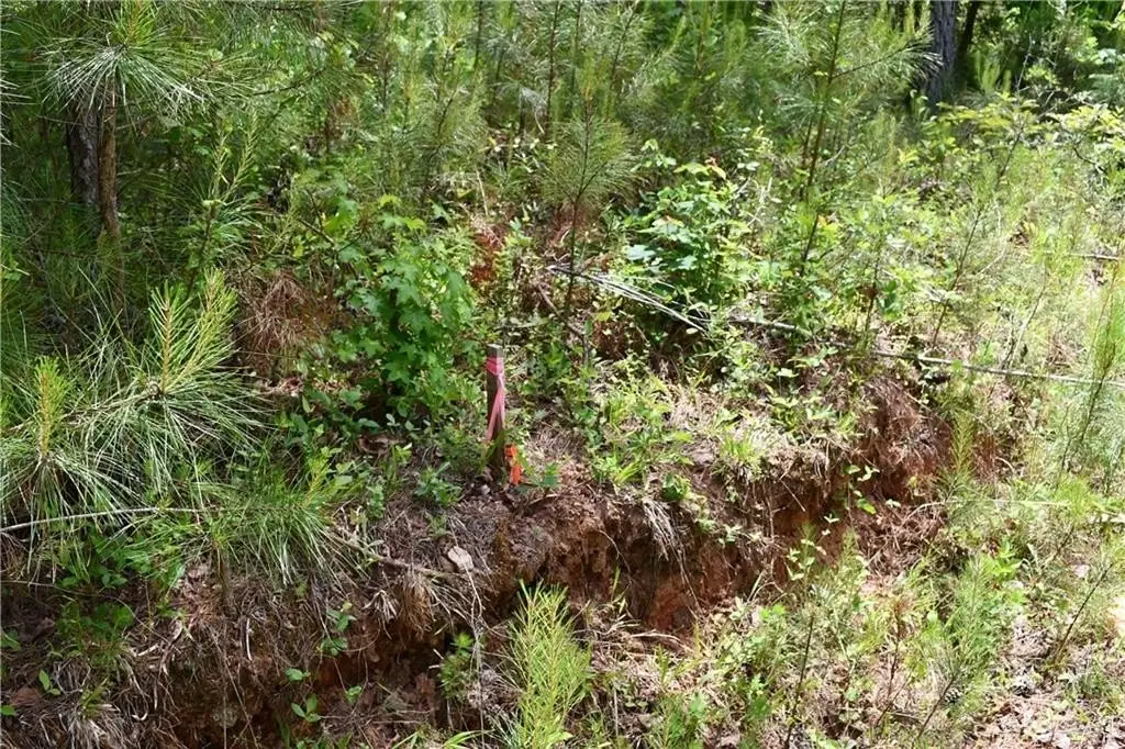 Picture 39