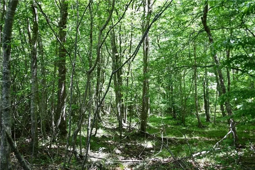 Picture 15