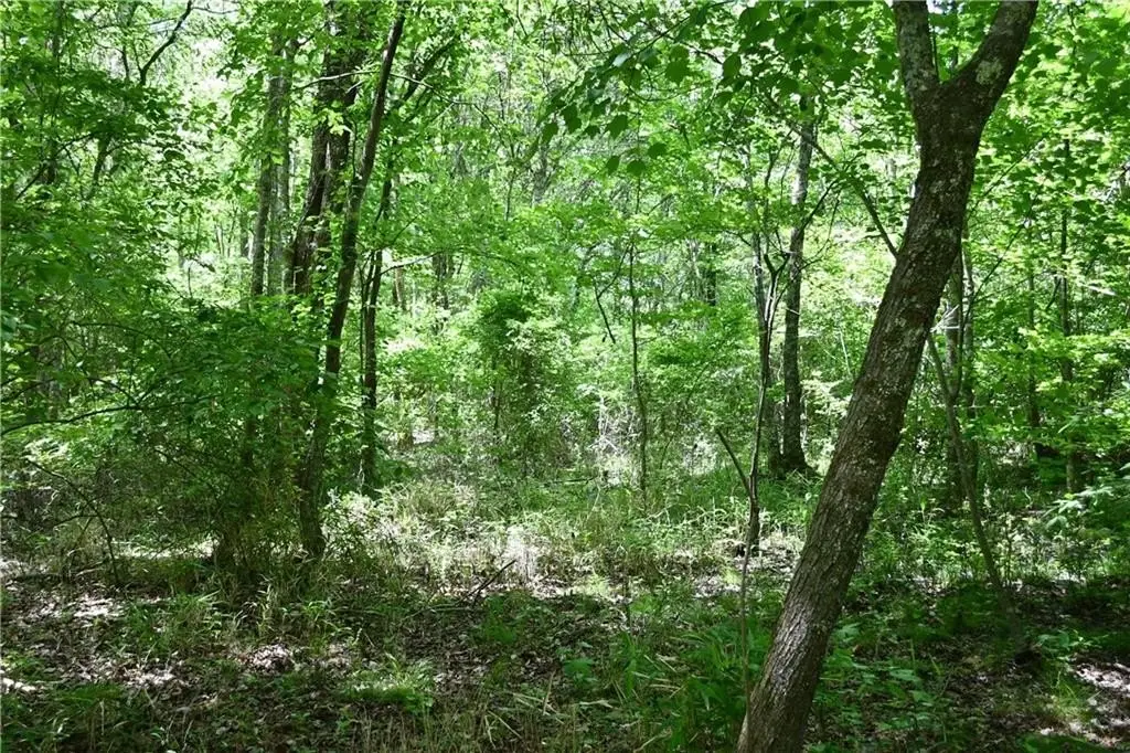 Picture 24