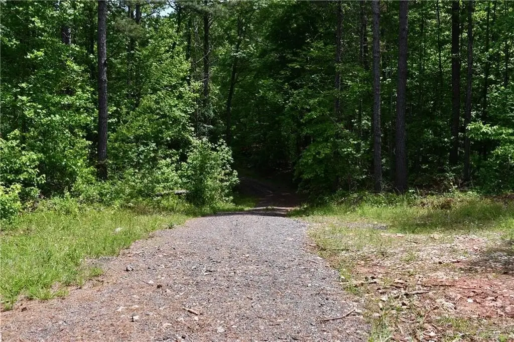 Picture 48