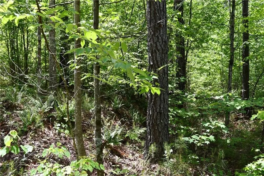 Picture 38