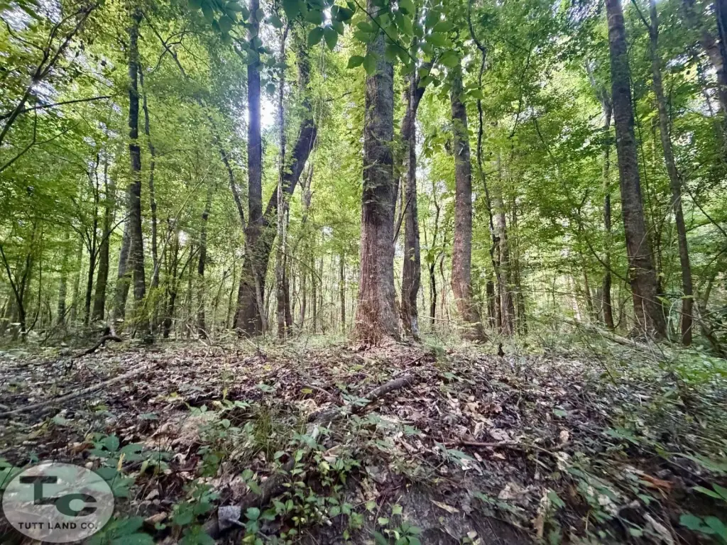 Picture 17