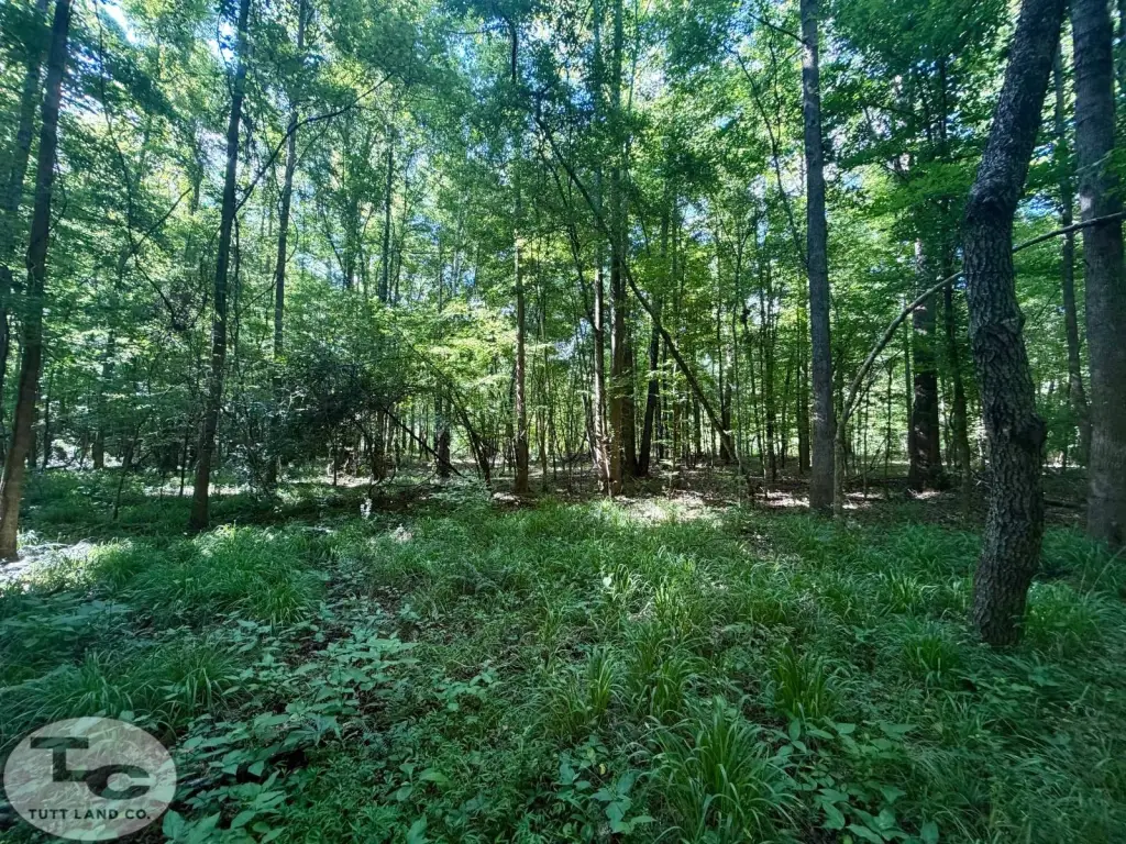 Picture 11