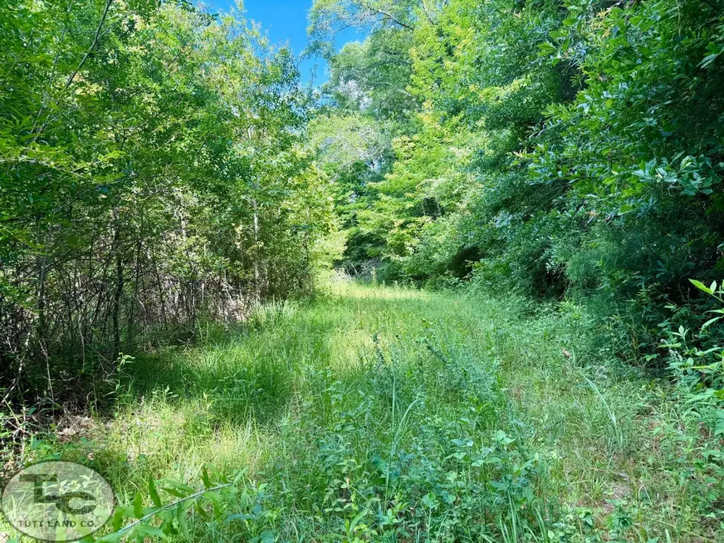 Picture 4
