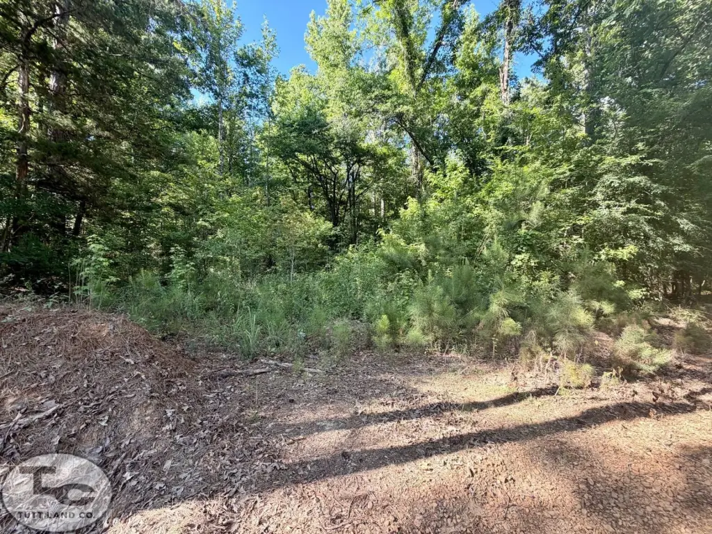 Picture 31