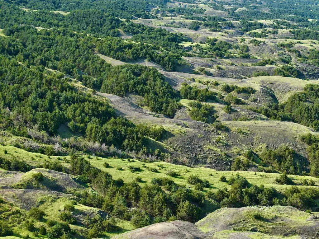 Picture 9