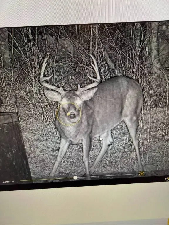 Picture 38