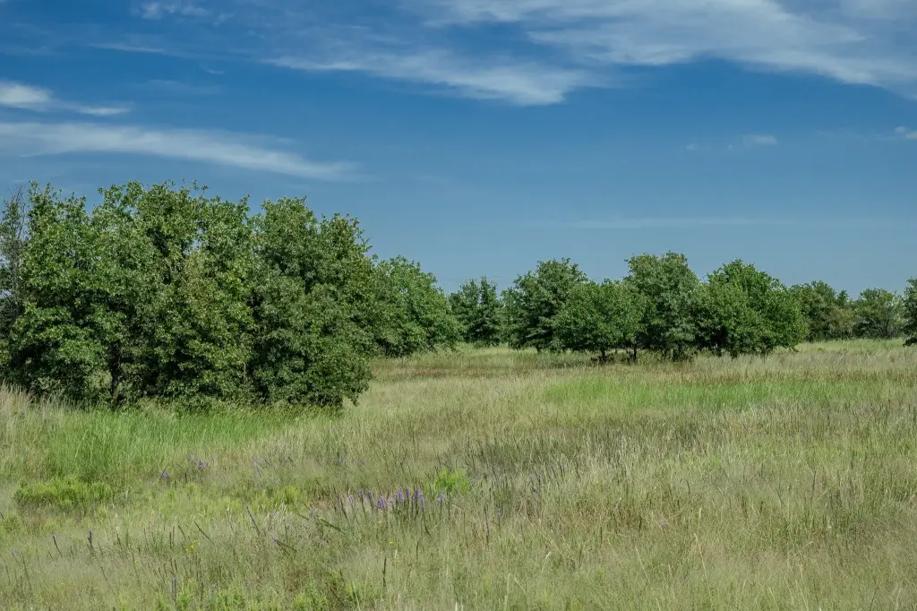 Picture 40