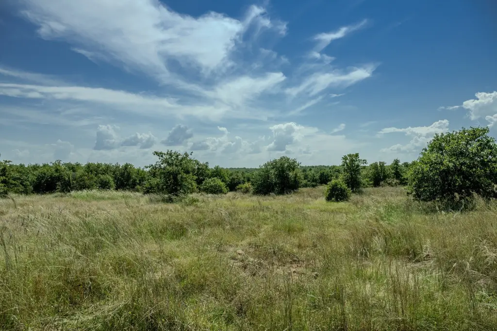 Picture 28