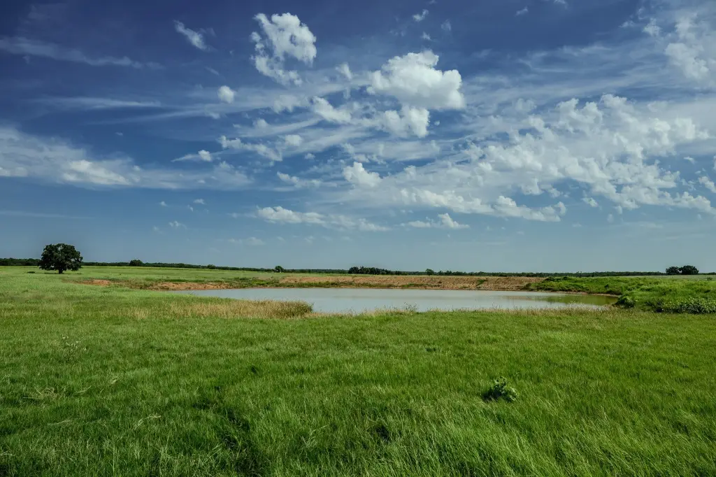 Picture 20