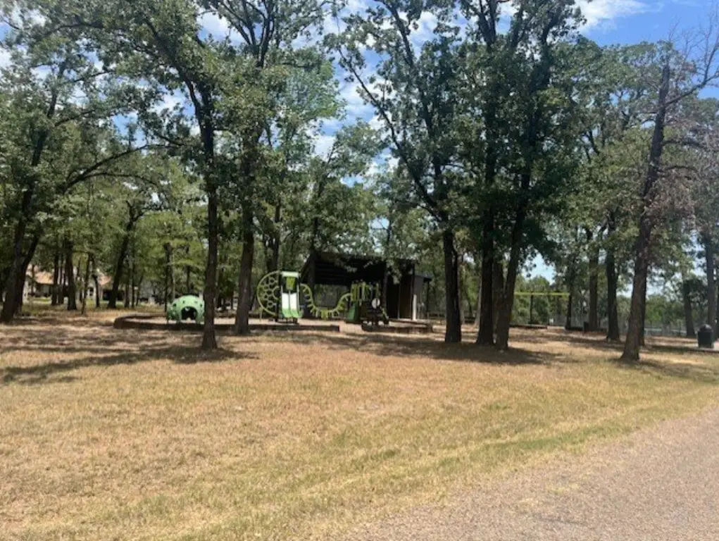 Picture 5
